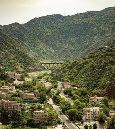 التنوع البيولوجي وحماية البيئات: الحياة السعودية