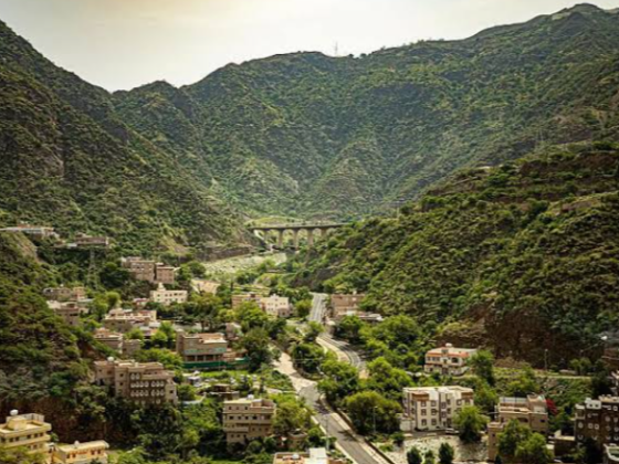 التنوع البيولوجي وحماية البيئات: الحياة السعودية