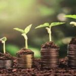 الاقتصاد الأخضر