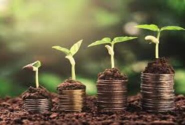 الاقتصاد الأخضر