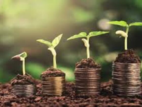 الاقتصاد الأخضر