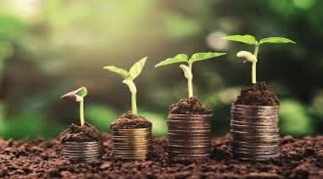 الاقتصاد الأخضر