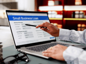 الشركة الماشئة والمشروع الصغير