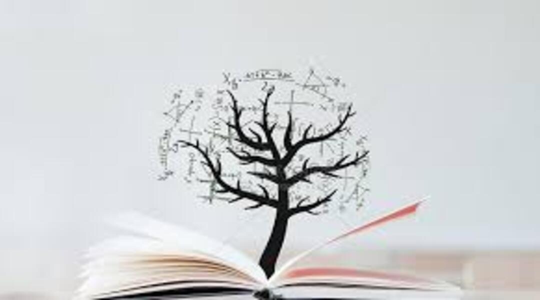 ما أهم المصطلحات الاقتصادية التي يحتاجها أي قارئ مبتدئ؟