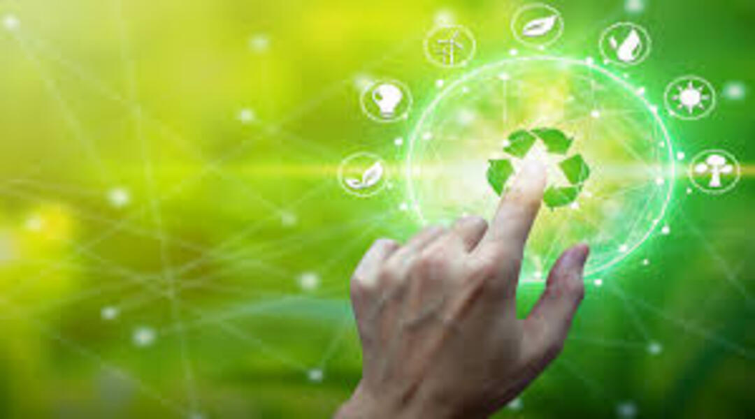 ما هي المبادئ الخمسة للاقتصاد الأخضر؟